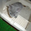 감자와 맛동산 이미지