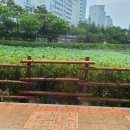 오동정 황태요리 이미지