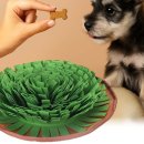 별이애견 이미지