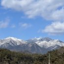 와촌파출소 이미지