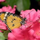 송*화 - 미추홀구 숙골로88번길 12 | 송*화