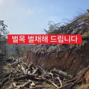 보성벌목