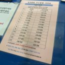 산호제일약국 | 우도 여행(배시간, 교통수단 대여 꿀팁)