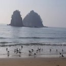 사랑의 노래 이미지