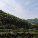 희망야채 - 청주시 상당구 상당로3번길 2 | 희망야채