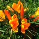 상계종합사회복지관 이미지