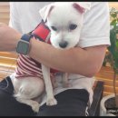 청계종합동물병원 이미지