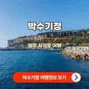 박수기정 여행정보 안내 (제주 서귀포 여행 추천)