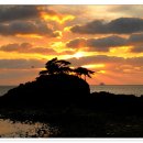 솔섬노을 이미지