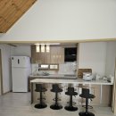 달리애견 이미지