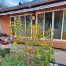 홍예민박 이미지