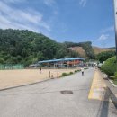 봉평생활체육공원(본부석) | 인제군수배 전국 오리엔티어링대회 가족참여 후기