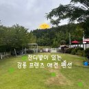 사랑애견펜션 | [강릉 애견동반 숙소] 잔디 마당과 쾌적함에 반한 프렌즈애견펜션 여름 후기