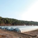 도청농장 이미지