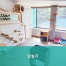 냥놀자 네이버블로그