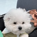 윤경목장 이미지