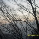 2011년 새해 첫 해 해돋이의 기운을 받아가셔요^^ 이미지