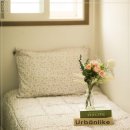 스테이 히어 이미지