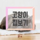 이웃집 동물병원 이미지
