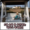 뜨락애 민박 | 제주도 독채펜션 :: 5일 지내보고 추천 하는 곳 / 뜨락애 펜션