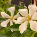 플레인호텔(THE PLAIN) 이미지