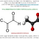 메틸글리옥살 증가하면 고혈압 등 당뇨 증상 발현 이미지