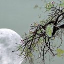 소소한 일상의 드로잉 이미지