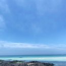 미화상회 이미지