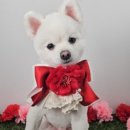 해피오브트리밍 이미지