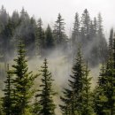 (주)한축산업 이미지