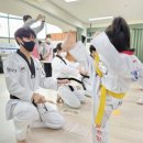 용인대학교 태권도 네이버블로그