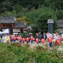 2025 금당야행 이미지