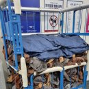 현대프로세탁 이미지