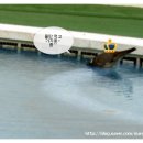 오 마이 캣 이미지