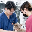 제주온동물병원 이미지