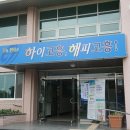 멍사무소 이미지