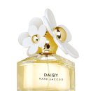 레몬향데이지 이미지