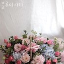 블루미시티 이미지