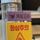 캠핑고래 이미지
