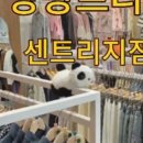 앙팡프리슈 이미지