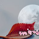 추억으로 듣는 힐링음악 (우리 가요 모음-24.09.14) 이미지