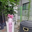 연산화분 이미지