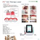 아이봄동물병원 이미지