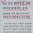 (주)대웅펫 이미지