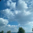 영천강변체육공원주차장 이미지