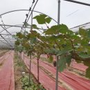 차정농장 이미지