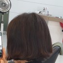준헤어랭귀지 네이버블로그