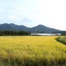 삼백농업농촌테마공원 이미지