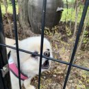 세라의 작은정원 이미지