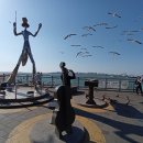 이마트24 R월미상륙작전점 | 인천 월미도 갈매기 새우깡 주는 장소